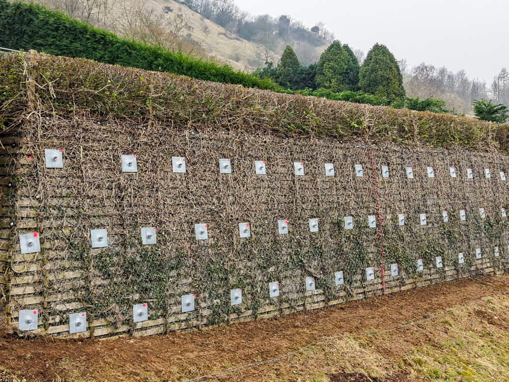 Gloucestershire Retaining Wall Stabilisation