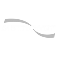 Metronet.png