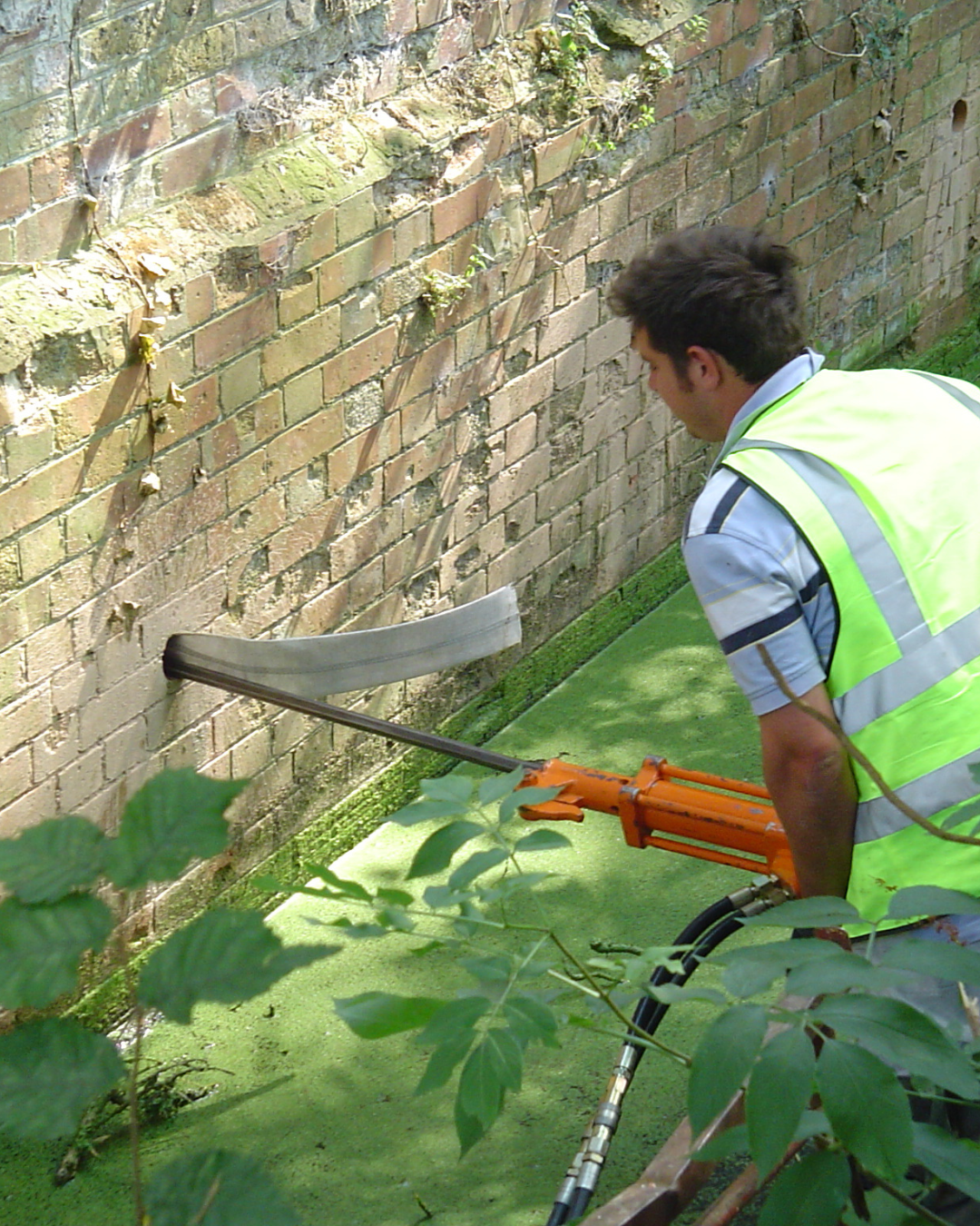 Anchor Drain