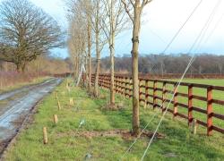 Overhead guying tree kit