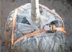 Rootball Fixing Kit - Strap