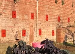 Plates painted red to blend into garden wall