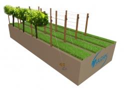 Vineyard trellis anchoring system using Vulcan Anchors driven into the ground